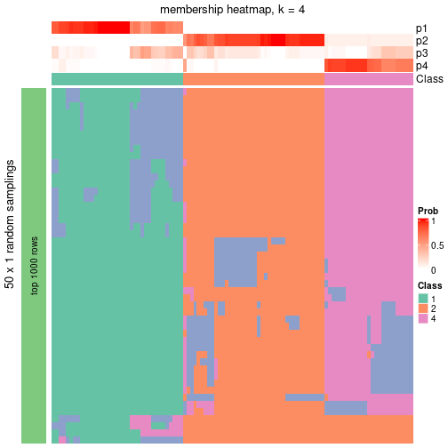 plot of chunk tab-node-02-membership-heatmap-3