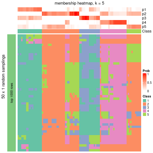 plot of chunk tab-node-02-membership-heatmap-4