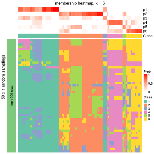 plot of chunk tab-node-02-membership-heatmap-5