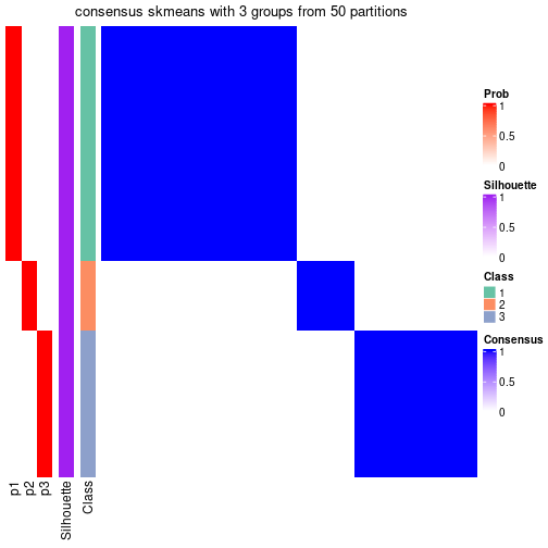 plot of chunk tab-node-03-consensus-heatmap-2