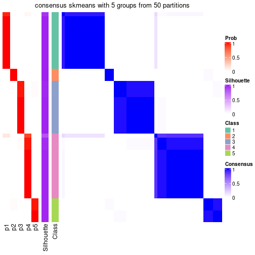 plot of chunk tab-node-03-consensus-heatmap-4