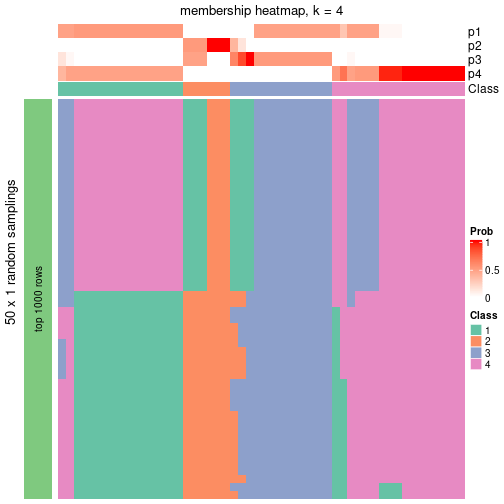 plot of chunk tab-node-03-membership-heatmap-3