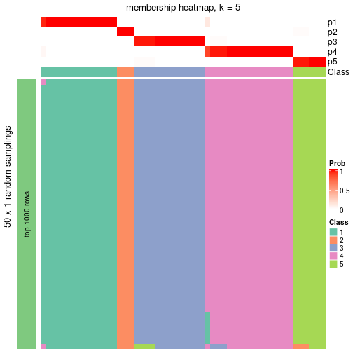 plot of chunk tab-node-03-membership-heatmap-4