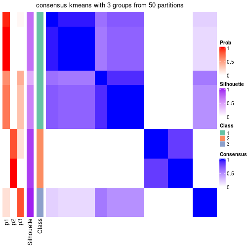 plot of chunk tab-node-031-consensus-heatmap-2