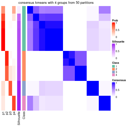 plot of chunk tab-node-031-consensus-heatmap-3