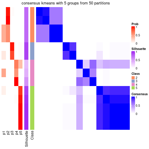 plot of chunk tab-node-031-consensus-heatmap-4