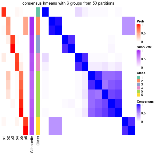 plot of chunk tab-node-031-consensus-heatmap-5