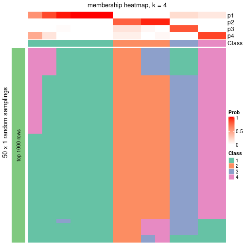 plot of chunk tab-node-031-membership-heatmap-3