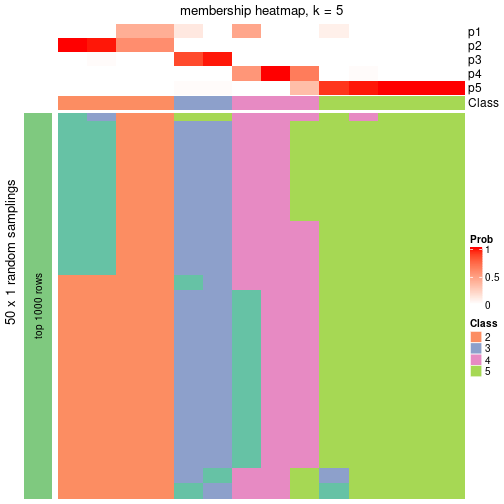 plot of chunk tab-node-031-membership-heatmap-4