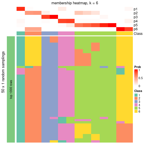 plot of chunk tab-node-031-membership-heatmap-5