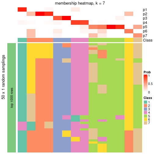 plot of chunk tab-node-031-membership-heatmap-6