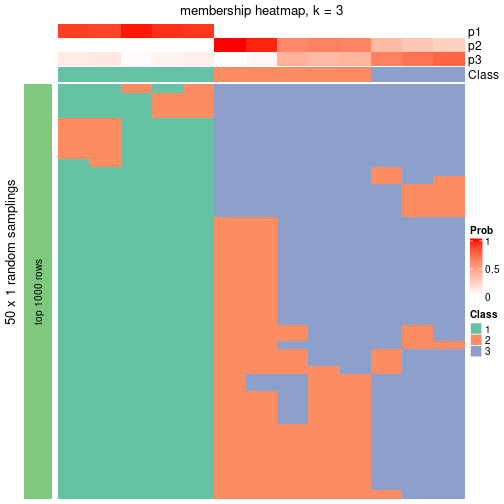 plot of chunk tab-node-033-membership-heatmap-2