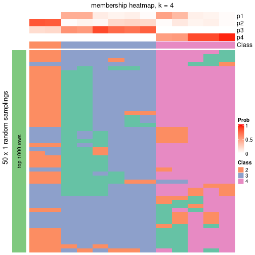 plot of chunk tab-node-033-membership-heatmap-3