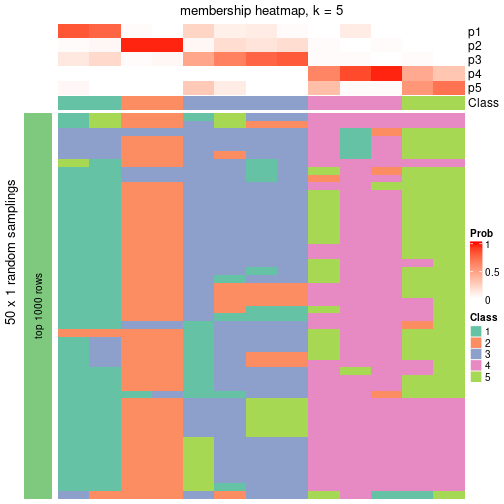 plot of chunk tab-node-033-membership-heatmap-4