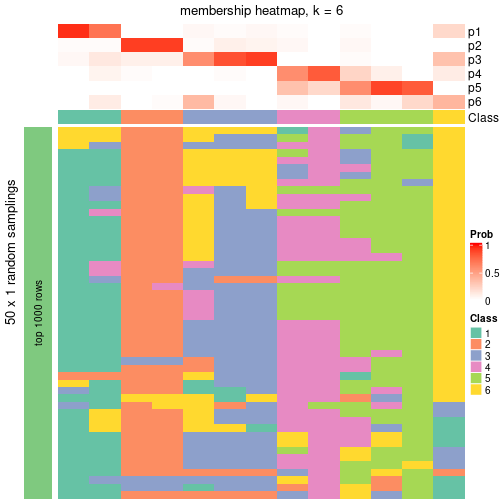 plot of chunk tab-node-033-membership-heatmap-5