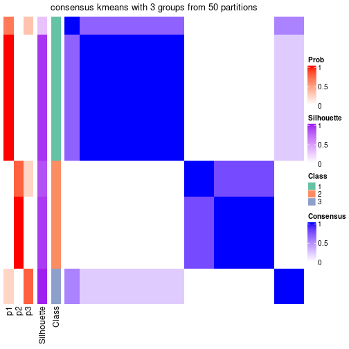 plot of chunk tab-node-034-consensus-heatmap-2