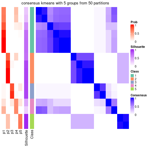 plot of chunk tab-node-034-consensus-heatmap-4