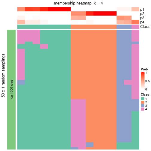 plot of chunk tab-node-034-membership-heatmap-3