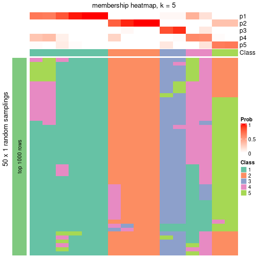 plot of chunk tab-node-034-membership-heatmap-4