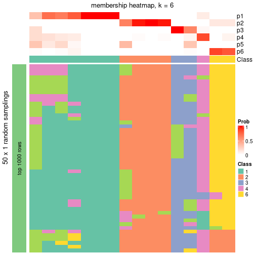 plot of chunk tab-node-034-membership-heatmap-5