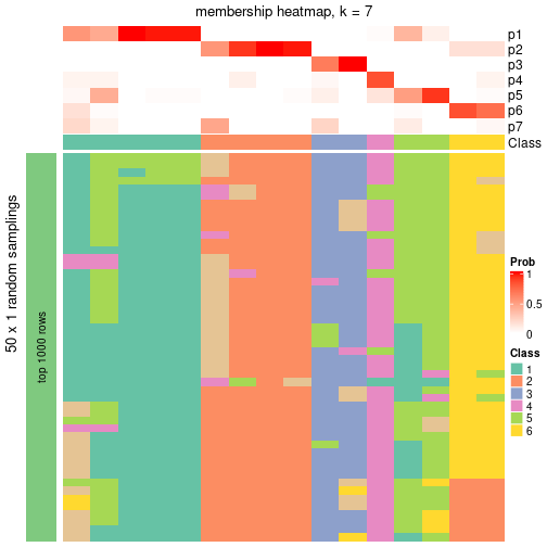 plot of chunk tab-node-034-membership-heatmap-6