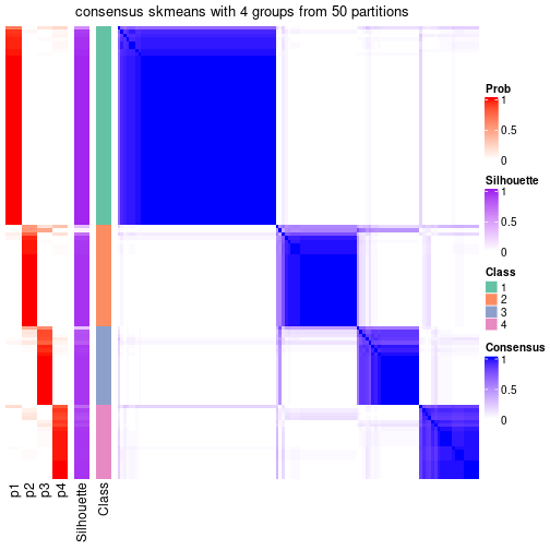 plot of chunk tab-node-04-consensus-heatmap-3