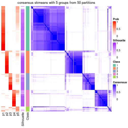 plot of chunk tab-node-04-consensus-heatmap-4