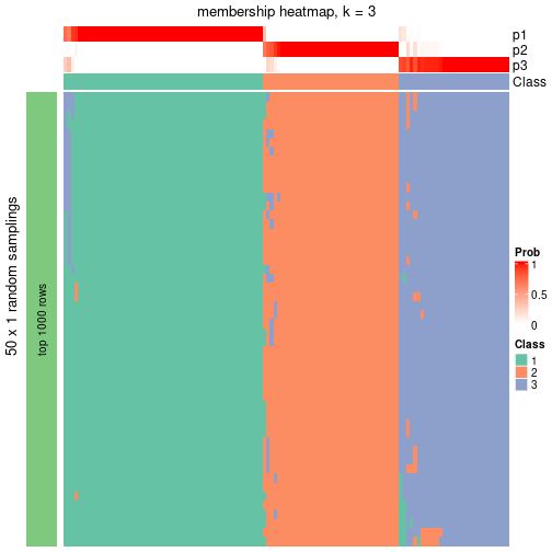 plot of chunk tab-node-04-membership-heatmap-2