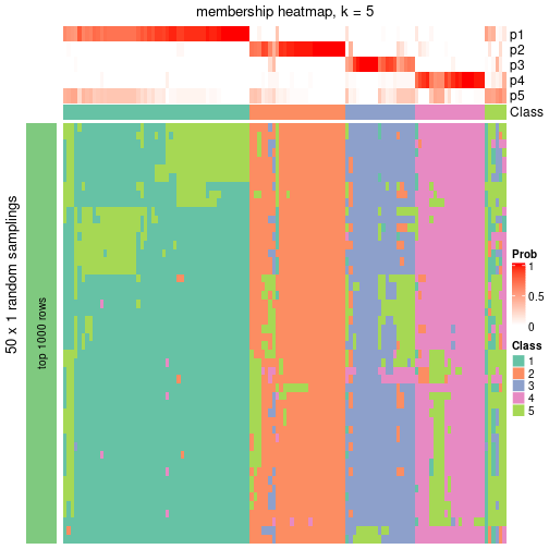 plot of chunk tab-node-04-membership-heatmap-4