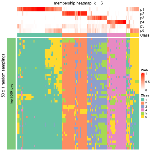 plot of chunk tab-node-04-membership-heatmap-5