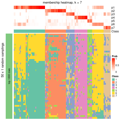 plot of chunk tab-node-04-membership-heatmap-6