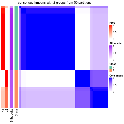 plot of chunk tab-node-041-consensus-heatmap-1