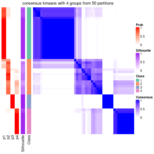 plot of chunk tab-node-041-consensus-heatmap-3