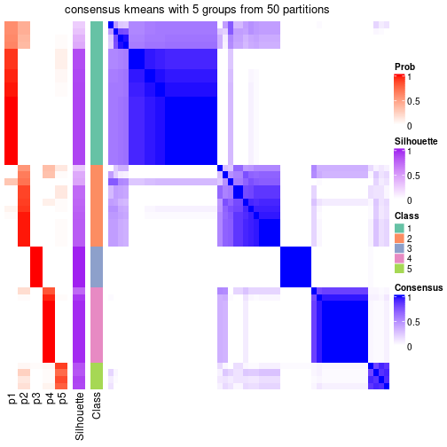 plot of chunk tab-node-041-consensus-heatmap-4