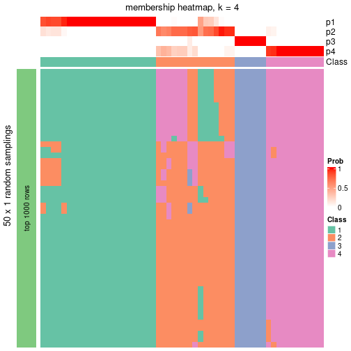 plot of chunk tab-node-041-membership-heatmap-3