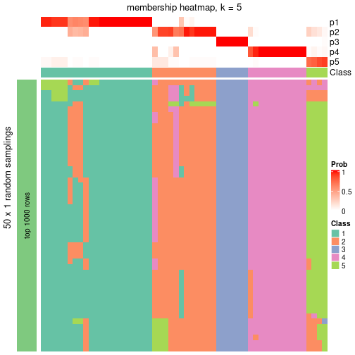 plot of chunk tab-node-041-membership-heatmap-4