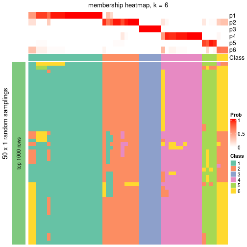 plot of chunk tab-node-041-membership-heatmap-5