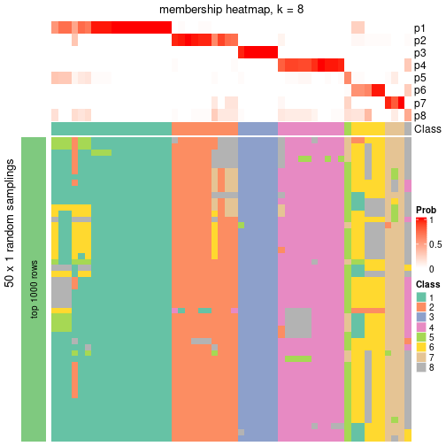 plot of chunk tab-node-041-membership-heatmap-7