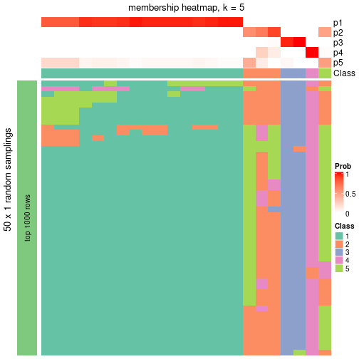 plot of chunk tab-node-0412-membership-heatmap-4