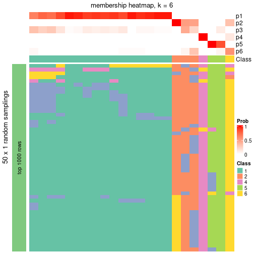 plot of chunk tab-node-0412-membership-heatmap-5