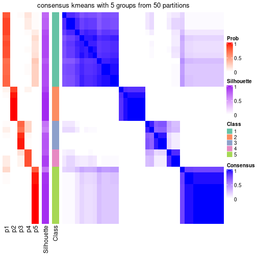 plot of chunk tab-node-042-consensus-heatmap-4