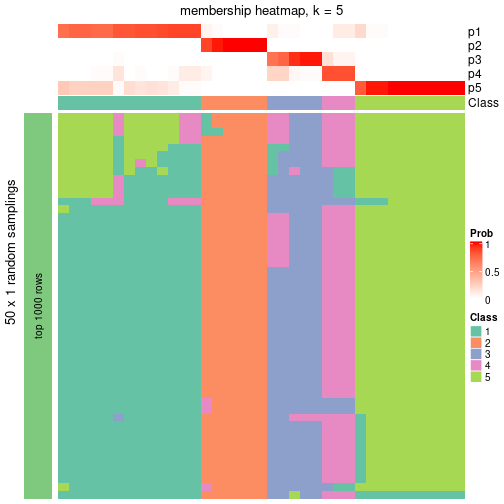 plot of chunk tab-node-042-membership-heatmap-4