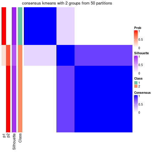 plot of chunk tab-node-043-consensus-heatmap-1