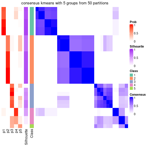 plot of chunk tab-node-043-consensus-heatmap-4