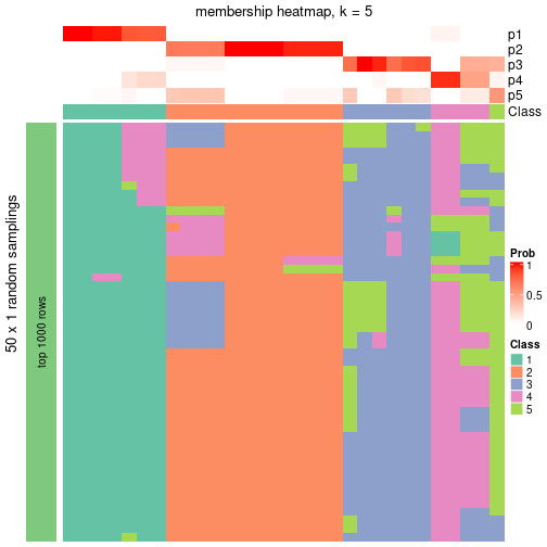 plot of chunk tab-node-043-membership-heatmap-4