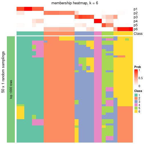 plot of chunk tab-node-043-membership-heatmap-5