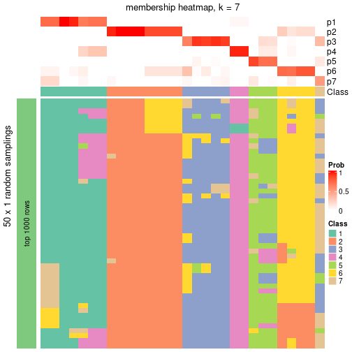 plot of chunk tab-node-043-membership-heatmap-6