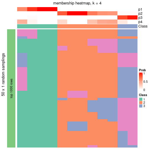 plot of chunk tab-node-0432-membership-heatmap-3