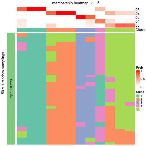 plot of chunk tab-node-0432-membership-heatmap-4