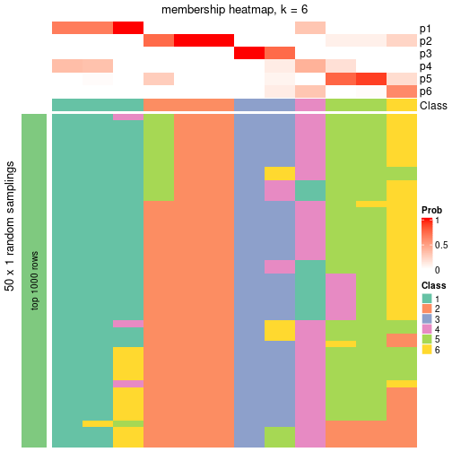 plot of chunk tab-node-0432-membership-heatmap-5